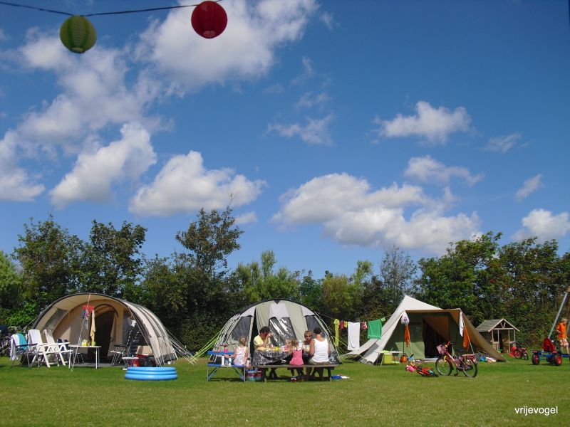 Guest house 010728 - Holiday property Texel - Boerderijcamping Vrije Vogel