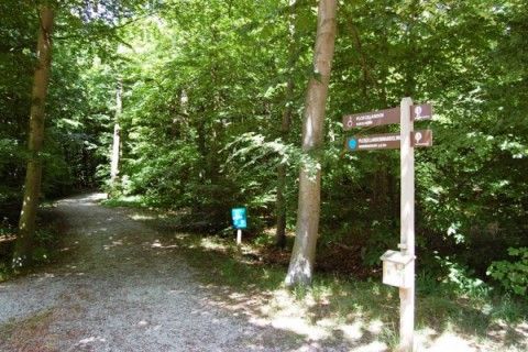 Naturlehrpfade rund um Hoogelandt 10 - Awali, De Koog, Texel.