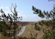 Blick auf die Dnen bei Hoogelandt 10 - Ferienhaus Awali, De Koog, Texel.