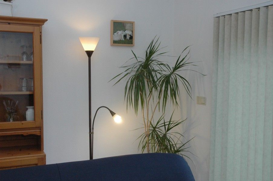 Atmospheric corner with plants in Alkema bungalow rental Gortersmient, vacation home in Dennenbos Texel.