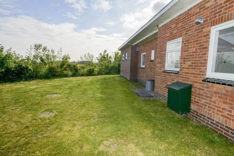 Achtertuin van vakantiehuis Slufterbungalows 362 in Bungalowpark Slufteroord, Texel omgeven door weelderige natuur.