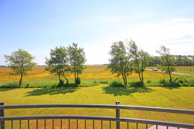 Prachtig uitzicht vanaf het balkon van Appartement Bos en Duin 40, Texel, over de bloeiende velden en natuur.