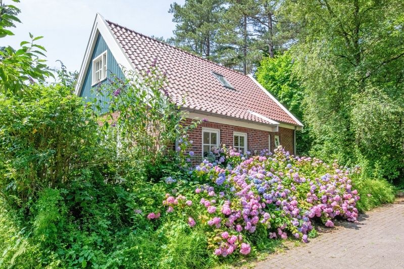 Rustikaler Charme von 't Mienthuis - De Prins, Ferienhaus in De Dennen, Texel, mit bunten Blumen und gruener Umgebung.