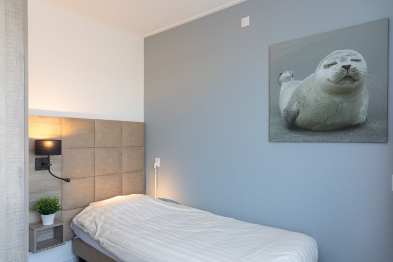 Eenpersoonskamer in Appartement Bos en Duin 30, De Dennen, Texel met gezellige inrichting en zeehondenschilderij.