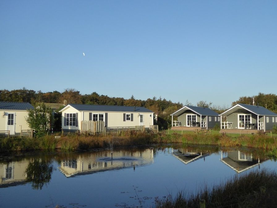 Villetta Ferienhaus fuer 6 Personen in De Dennen, Texel, mit Blick auf Teich und Natur.