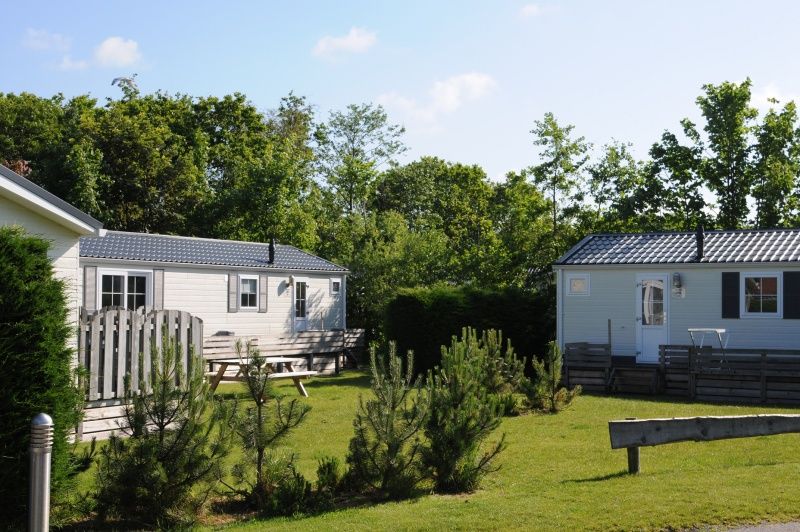 Gruene Umgebung in Villetta Ferienhaus fuer 4 Personen in De Dennen, Texel, Watteninseln.