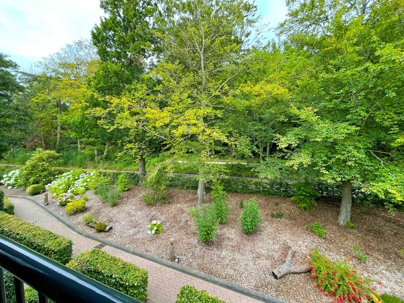 Schoene Aussicht auf die gruene Umgebung vom Appartement Bos en Duin 24, De Dennen, Texel, ideal fuer Naturliebhaber.