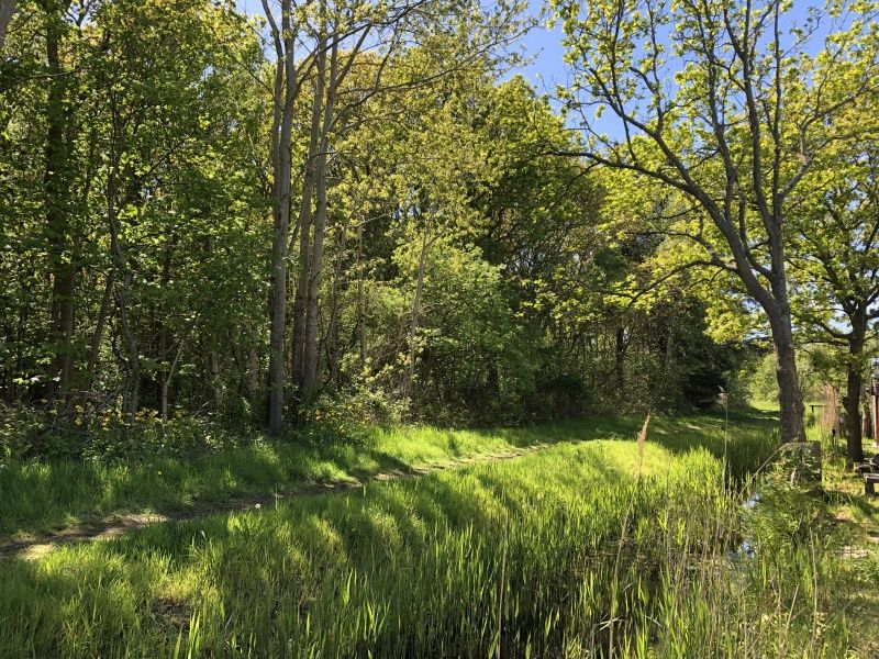 Unterkunft 0113246 - Ferienhaus Texel - Vakantiepark de Bremakker - Bosveld 103