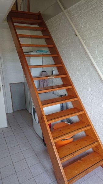 Guest house 0113287 - Holiday property Texel - Hans