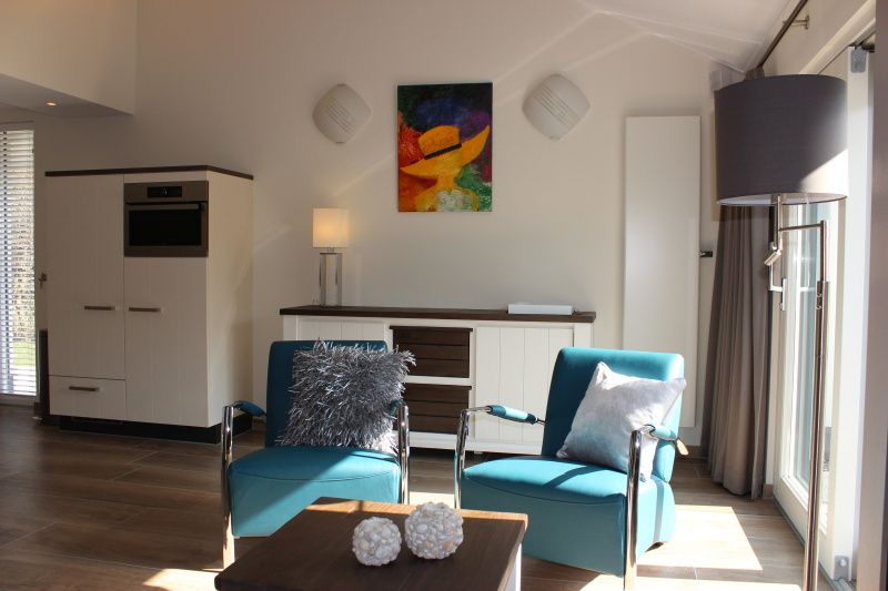 Stijlvolle woonkamer van Vakantiehuis Gortersmient 256 in De Dennen, Texel met kleurrijk schilderij.