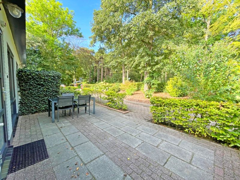 Zonnig terras van Appartement Bos en Duin 05, De Dennen, Texel met uitzicht op het omliggende bos.