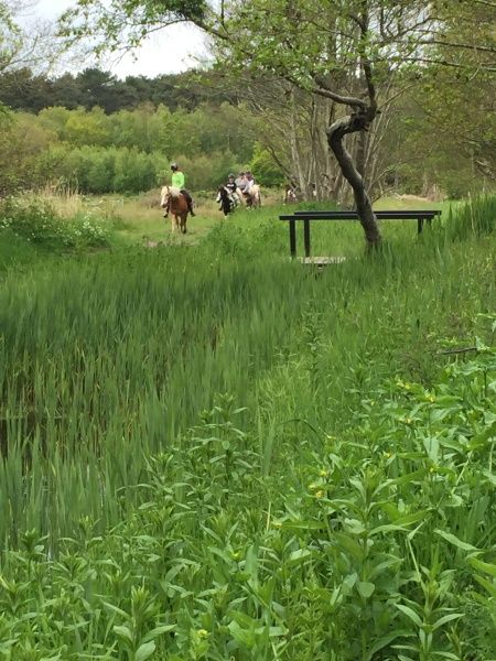 Natuerliche Umgebung mit Reitern in De Dennen, Texel, in der Naehe von Vakantiepark De Bremakker - Chalet 1140.