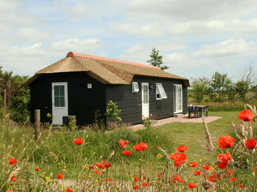 Verblijf 0113348 - Vakantiewoning Texel - Bremakker Akkerveld Boerderijchalet