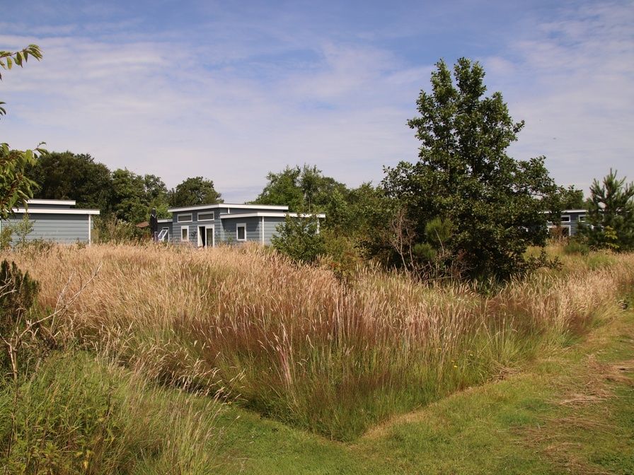 Verblijf 0113349 - Vakantiewoning Texel - Bremakker Akkerveld 1 - 6