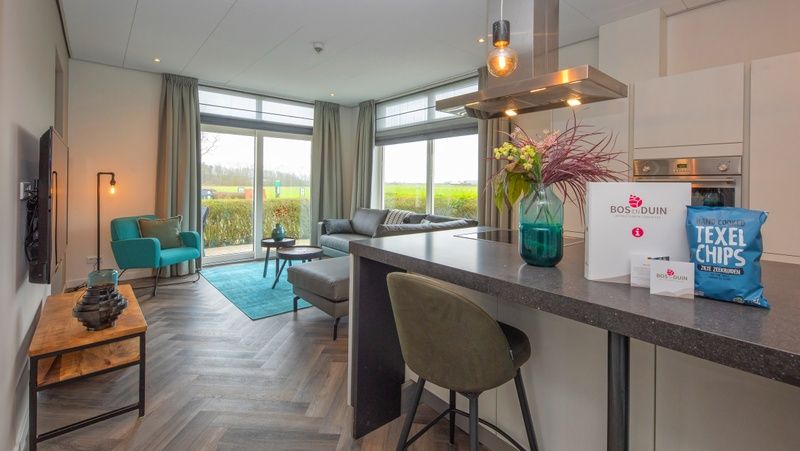 Moderne leefruimte in Appartement Bos en Duin 01, De Dennen, Texel met natuurlijke lichtinval.