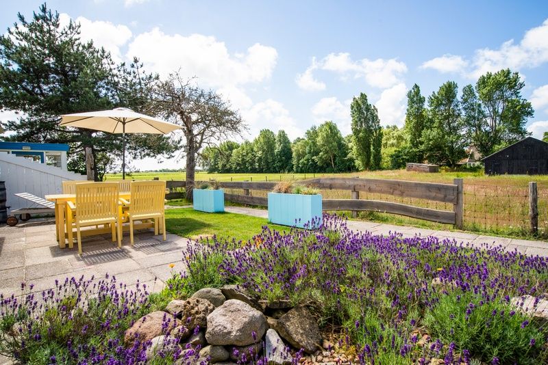 Gezellige tuin bij Boszicht vakantiehuis in De Dennen, Texel met lavendel en uitzicht op natuur.
