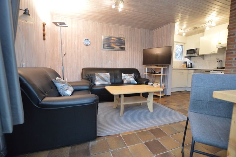 Gemuetliches Wohnzimmer im Ferienhaus Tempelierweg 37, De Dennen, Texel mit Ledersofas.