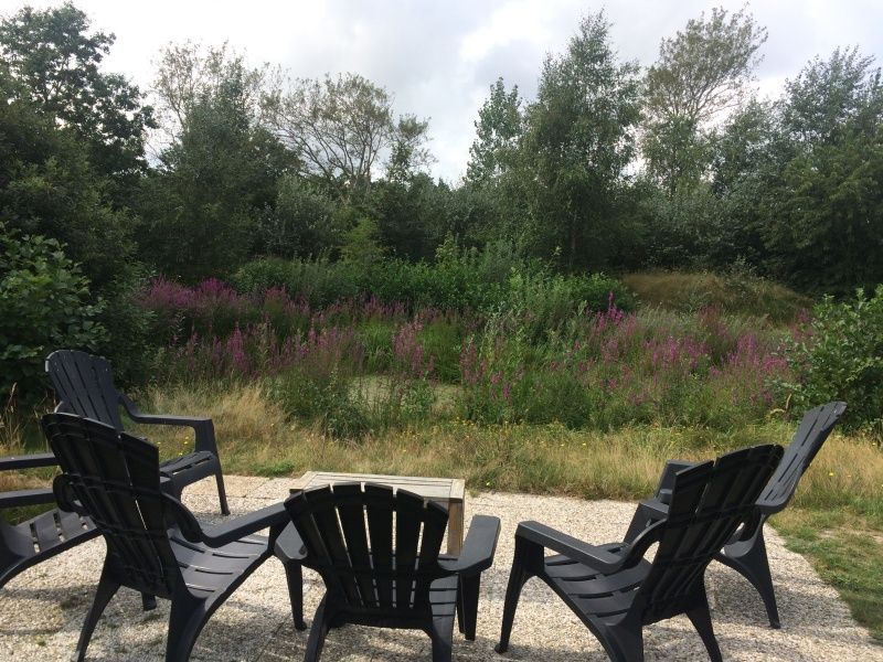 Terrace with chairs at Vijverhof vacation home in De Dennen, Texel, surrounded by nature.