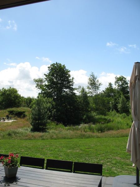 View from Vijverhof vacation home in De Dennen, Texel of green fields and blue sky.