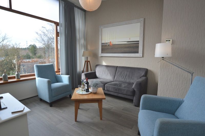 Heller Wohnraum im Ferienhaus Lelie, Texel, mit moderner Einrichtung und Blick auf die Natur.