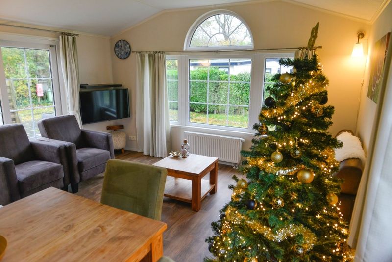 Cozy living room with Christmas tree in Holiday Park De Koorn-aar Type F, Texel, Wadden Islands.