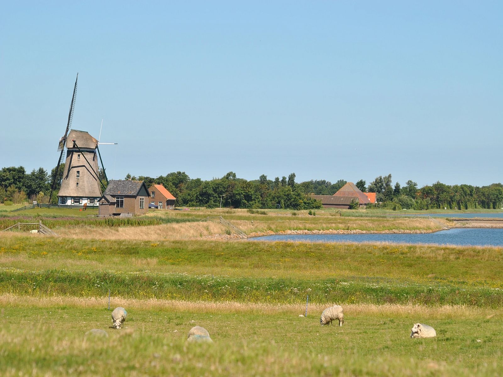 Guest house 011503 - Holiday property Texel - Florijn 1
