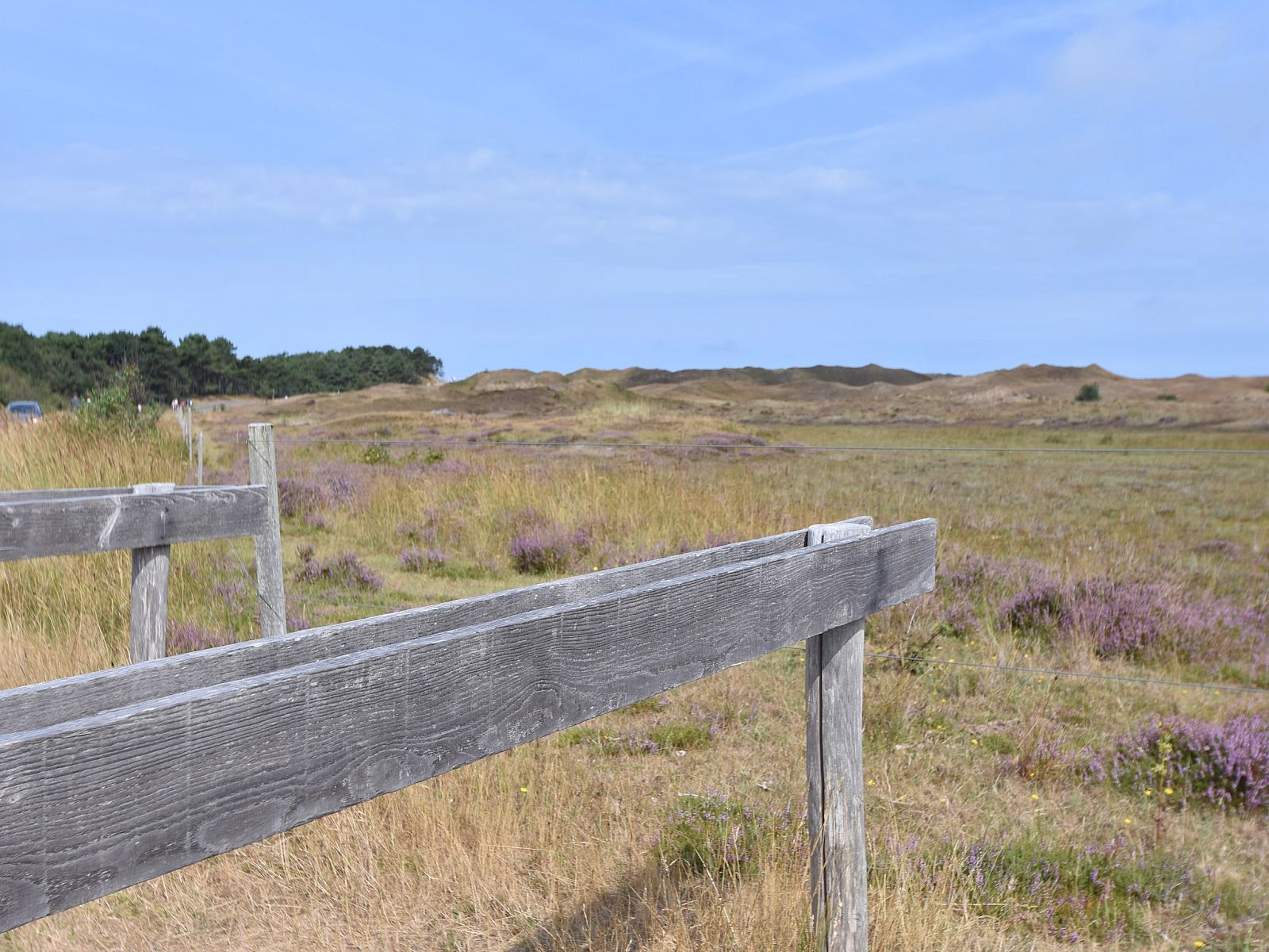 Guest house 011505 - Holiday property Texel - Florijn 4