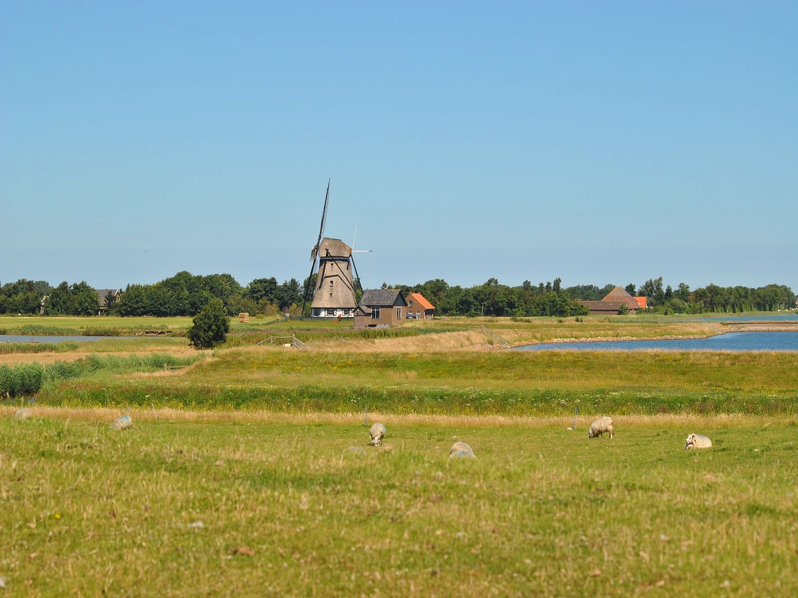 Guest house 011505 - Holiday property Texel - Florijn 4