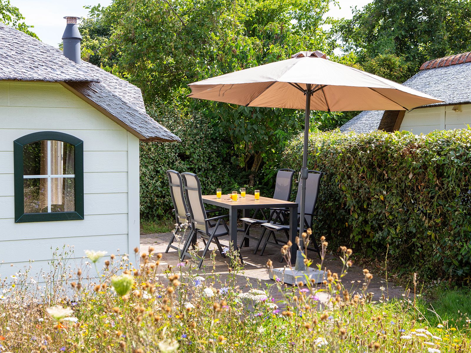 Guest house 030917 - Bungalow Terschelling - Schuttersbos | 2-4-persoons cottage | 2-4B