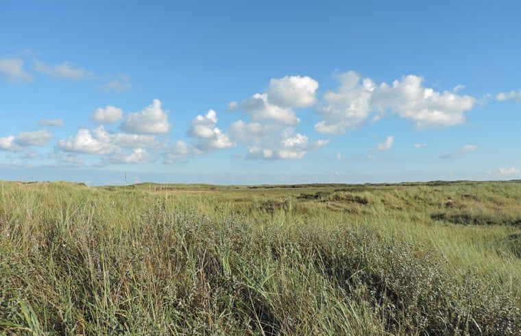 Unterkunft 031017 - Ferienhaus Terschelling - Vakantiehuis in Oosterend