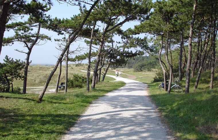 Unterkunft 031017 - Ferienhaus Terschelling - Vakantiehuis in Oosterend