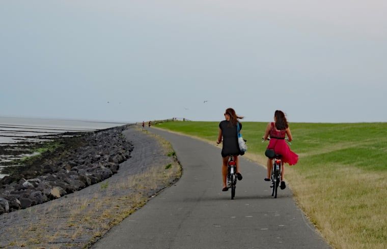 Unterkunft 031017 - Ferienhaus Terschelling - Vakantiehuis in Oosterend