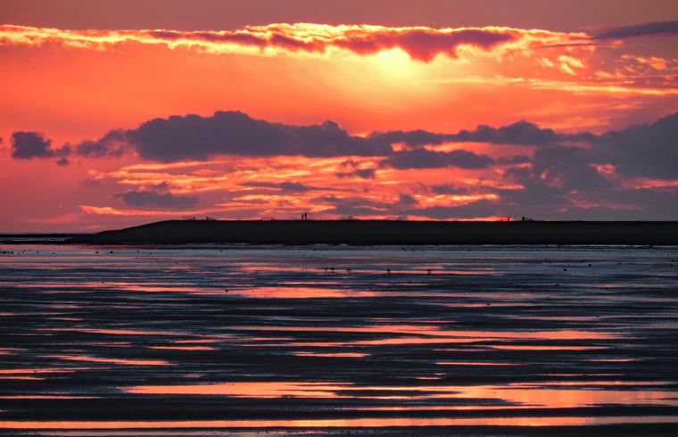 Unterkunft 031017 - Ferienhaus Terschelling - Vakantiehuis in Oosterend
