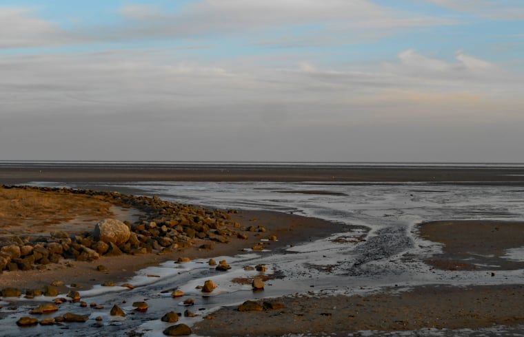 Unterkunft 031027 - Ferienhaus Terschelling - Huisje in Oosterend