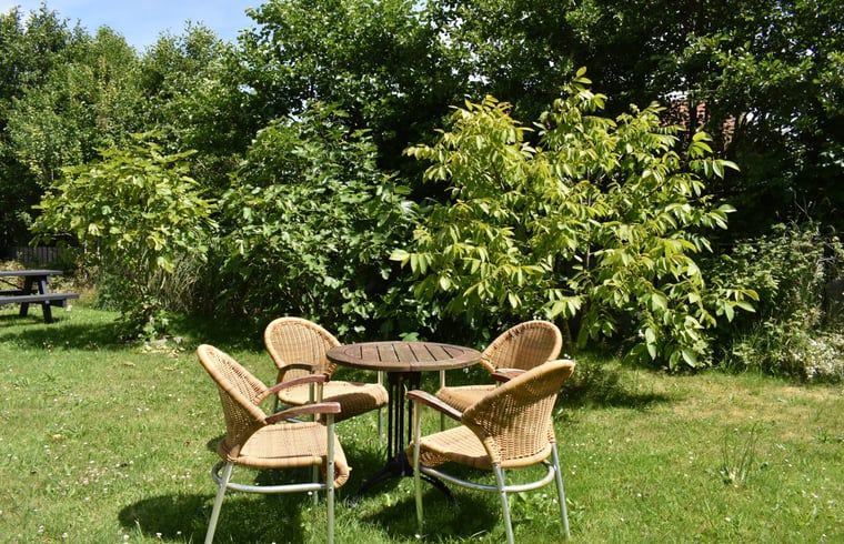 Zitgedeelte in groene tuin van vakantiehuis Oosterend, Waddeneilanden.