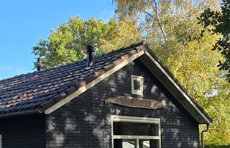 Verblijf 031513 - Vakantiewoning Terschelling - Vakantiehuis in Midsland Noord