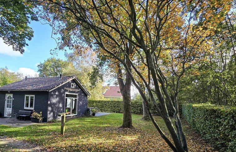 Verblijf 031513 - Vakantiewoning Terschelling - Vakantiehuis in Midsland Noord