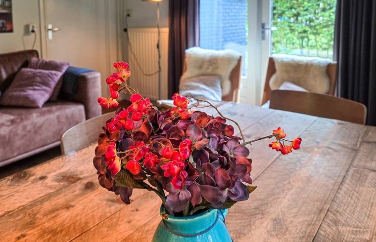 Verblijf 031513 - Vakantiewoning Terschelling - Vakantiehuis in Midsland Noord