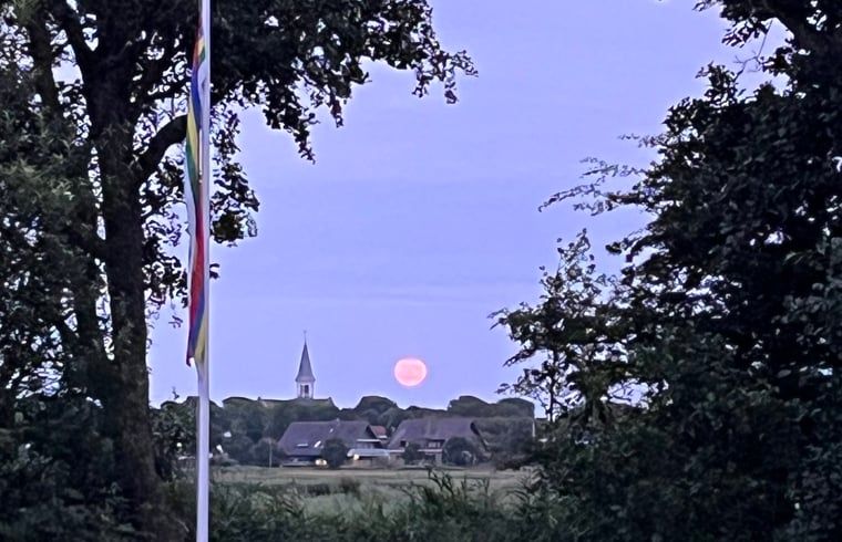 Verblijf 031514 - Vakantiewoning Terschelling - Vakantiehuis in Midsland Noord