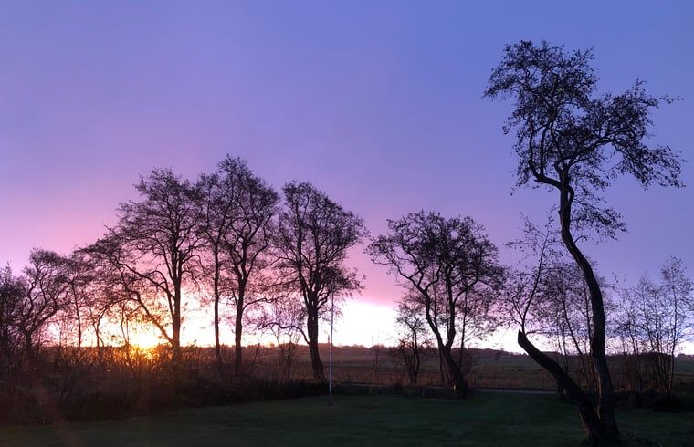 Verblijf 031514 - Vakantiewoning Terschelling - Vakantiehuis in Midsland Noord