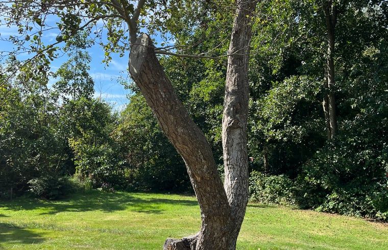 Verblijf 031514 - Vakantiewoning Terschelling - Vakantiehuis in Midsland Noord