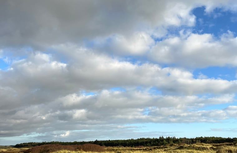 Verblijf 031514 - Vakantiewoning Terschelling - Vakantiehuis in Midsland Noord