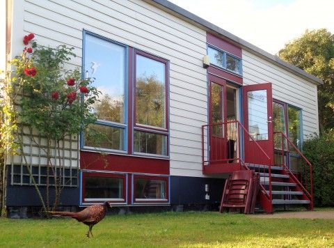 Rustic Glissando bungalow in Midsland North, Terschelling surrounded by green nature.
