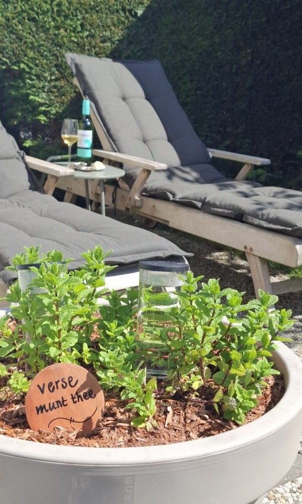 Unterkunft 031592 - Mobilheim Terschelling - Moai Fuort (nabij Bos &amp; Duin)