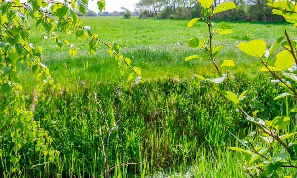 Unterkunft 031592 - Mobilheim Terschelling - Moai Fuort (nabij Bos &amp; Duin)