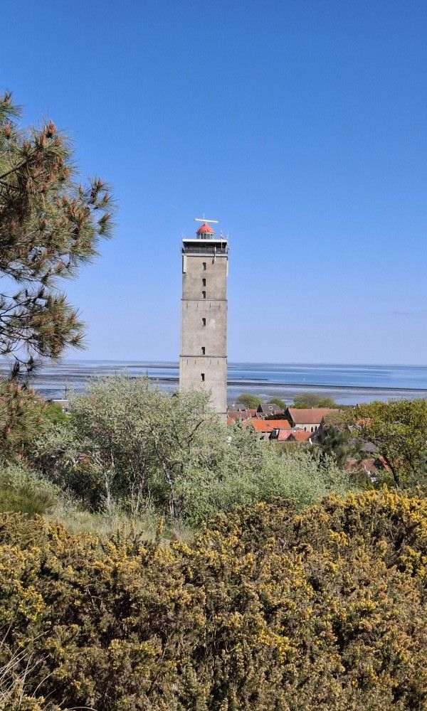 Unterkunft 031592 - Mobilheim Terschelling - Moai Fuort (nabij Bos &amp; Duin)