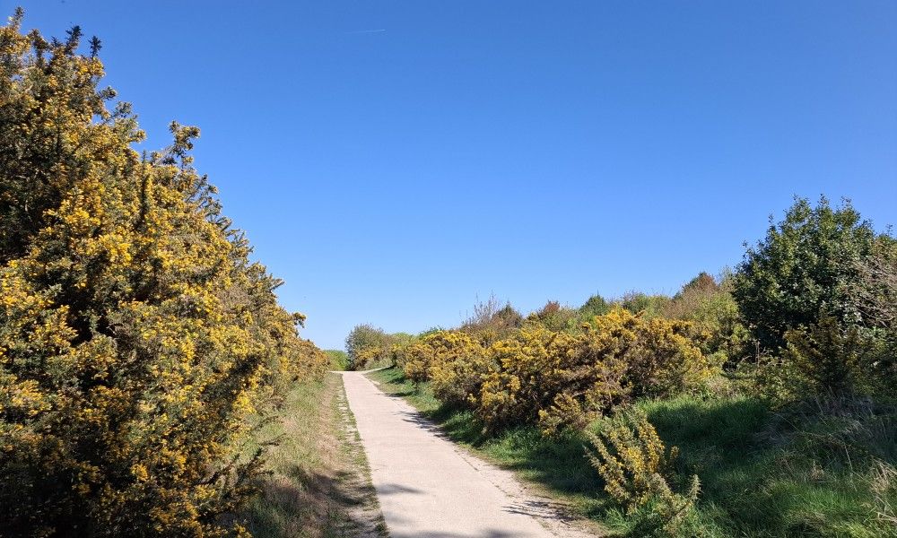 Unterkunft 031592 - Mobilheim Terschelling - Moai Fuort (nabij Bos &amp; Duin)