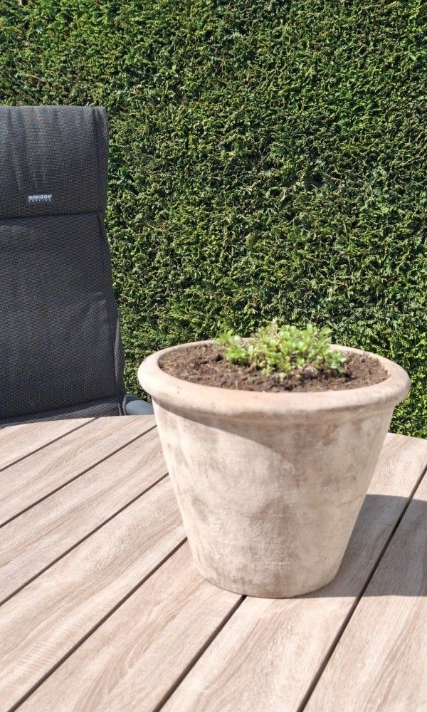 Unterkunft 031592 - Mobilheim Terschelling - Moai Fuort (nabij Bos &amp; Duin)