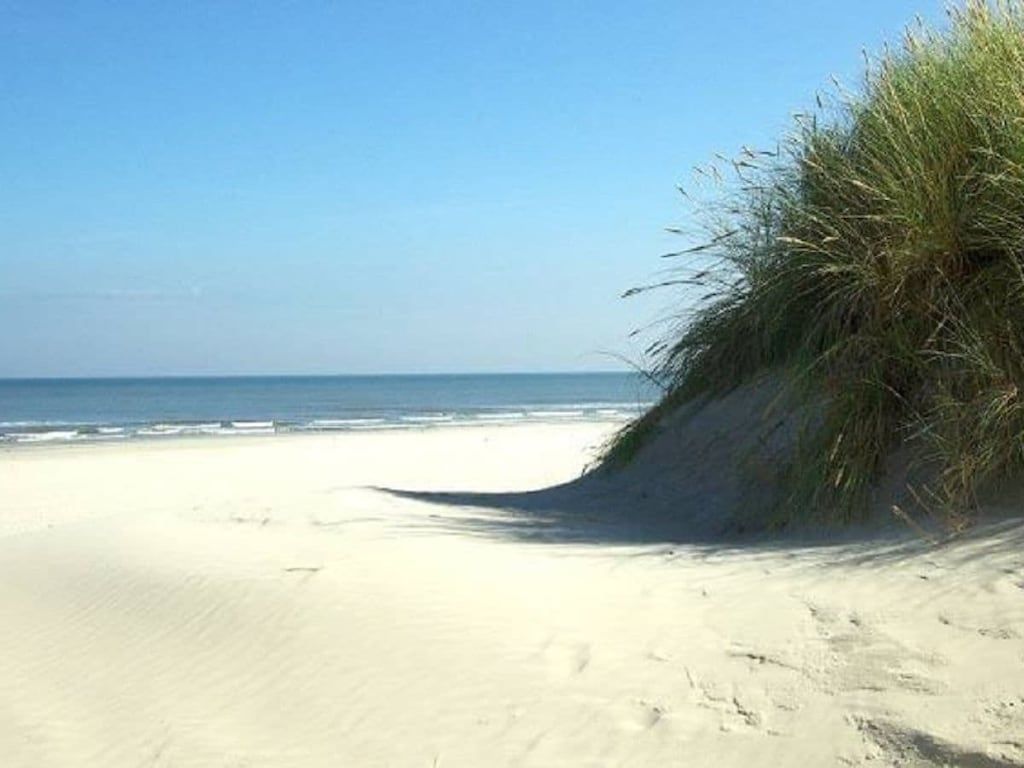 Unterkunft 040121 - Ferienhaus Ameland - 215247