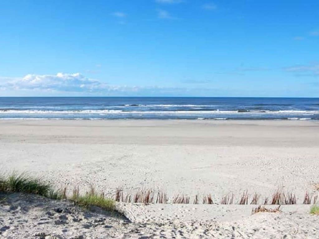 Unterkunft 040121 - Ferienhaus Ameland - 215247